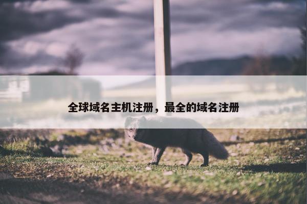 全球域名主机注册，最全的域名注册
