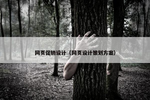 网页促销设计（网页设计策划方案）