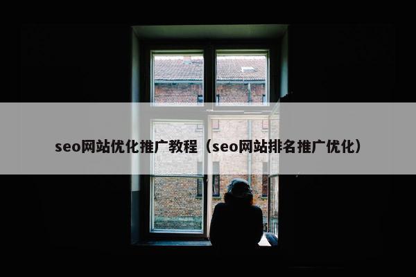 seo网站优化推广教程（seo网站排名推广优化）