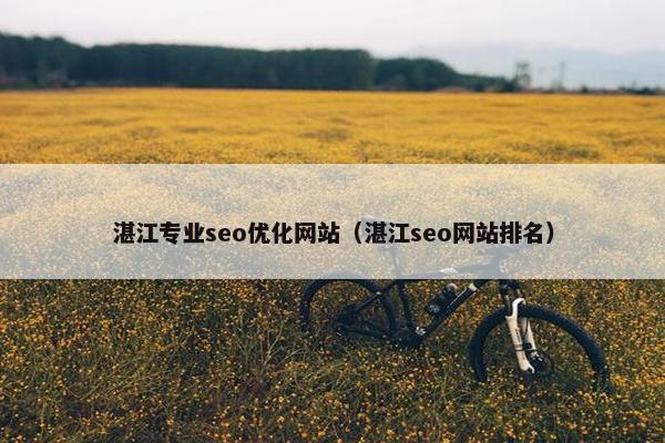 湛江专业seo优化网站（湛江seo网站排名）