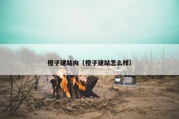 橙子建站向（橙子建站怎么样）