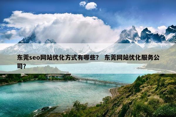 东莞seo网站优化方式有哪些？ 东莞网站优化服务公司？