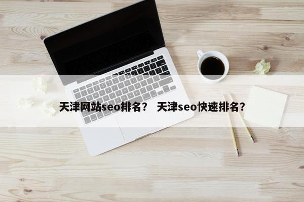 天津网站seo排名？ 天津seo快速排名？