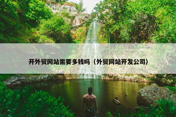 开外贸网站需要多钱吗（外贸网站开发公司）