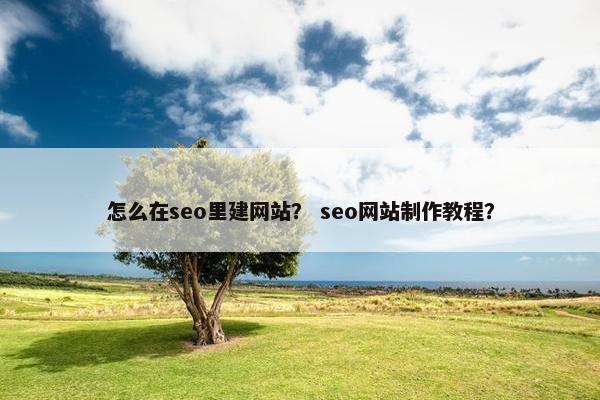 怎么在seo里建网站？ seo网站制作教程？