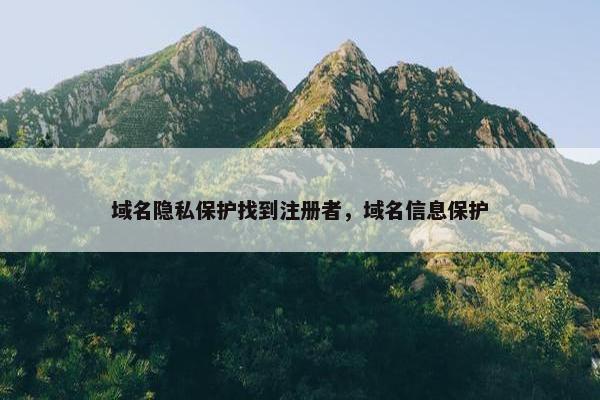 域名隐私保护找到注册者，域名信息保护