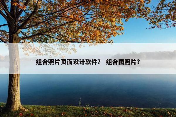 组合照片页面设计软件？ 组合图照片？