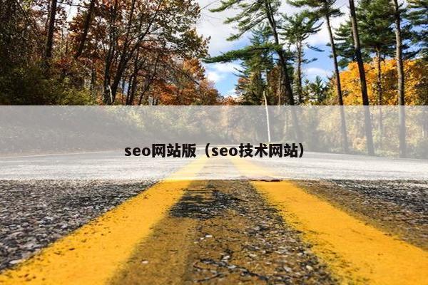 seo网站版（seo技术网站）