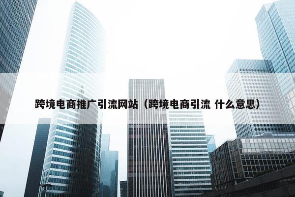 跨境电商推广引流网站（跨境电商引流 什么意思）