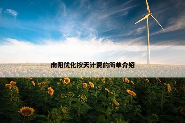 南阳优化按天计费的简单介绍