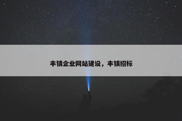 丰镇企业网站建设，丰镇招标