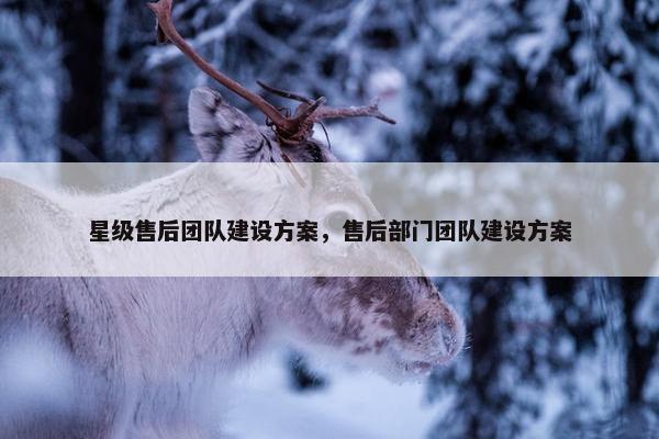 星级售后团队建设方案，售后部门团队建设方案