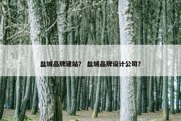盐城品牌建站？ 盐城品牌设计公司？