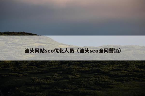 汕头网站seo优化人员（汕头seo全网营销）