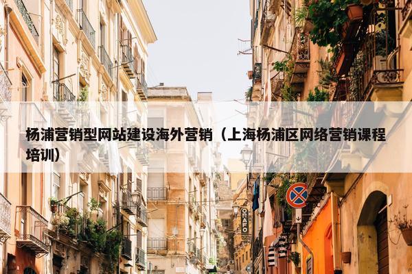 杨浦营销型网站建设海外营销（上海杨浦区网络营销课程培训）