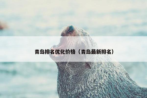 青岛排名优化价格（青岛最新排名）