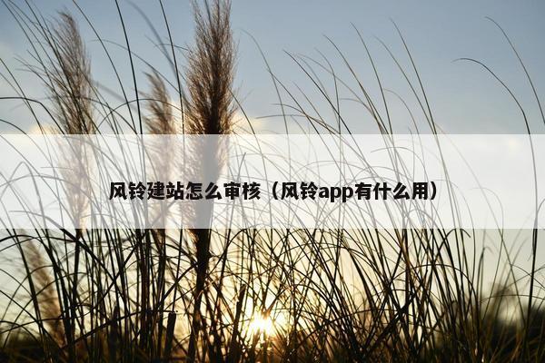 风铃建站怎么审核（风铃app有什么用）