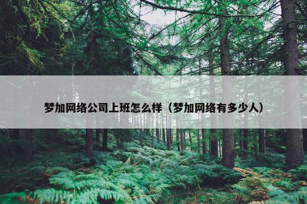 梦加网络公司上班怎么样（梦加网络有多少人）