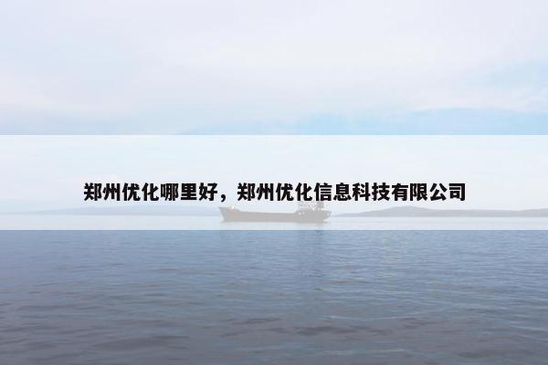 郑州优化哪里好，郑州优化信息科技有限公司