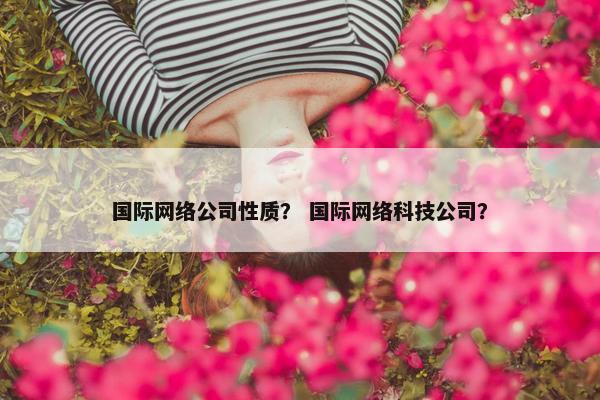 国际网络公司性质？ 国际网络科技公司？