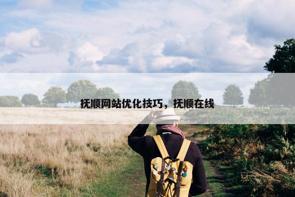抚顺网站优化技巧，抚顺在线