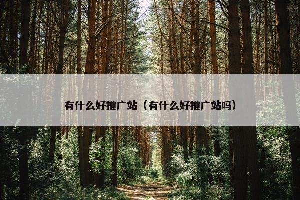 有什么好推广站（有什么好推广站吗）