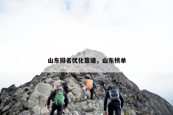 山东排名优化靠谱，山东榜单