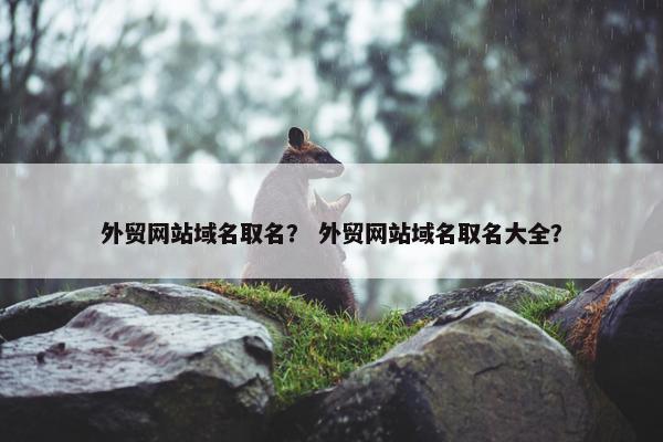 外贸网站域名取名？ 外贸网站域名取名大全？