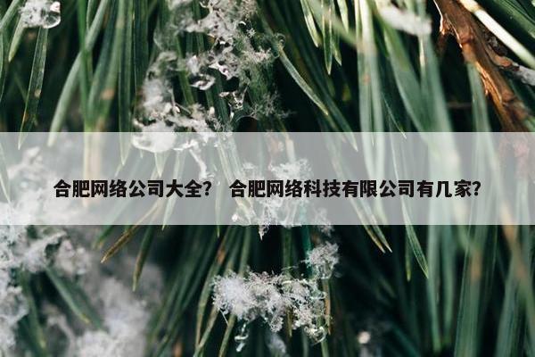 合肥网络公司大全？ 合肥网络科技有限公司有几家？