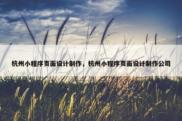 杭州小程序页面设计制作，杭州小程序页面设计制作公司