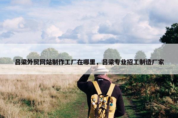 吕梁外贸网站制作工厂在哪里，吕梁专业招工制造厂家