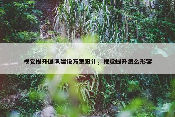 视觉提升团队建设方案设计，视觉提升怎么形容
