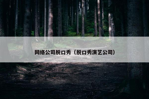 网络公司脱口秀（脱口秀演艺公司）