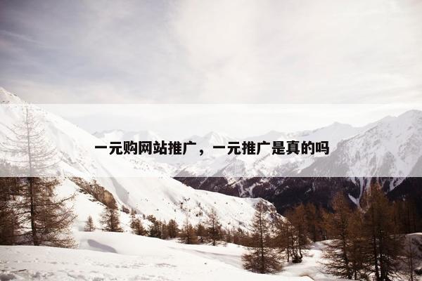 一元购网站推广，一元推广是真的吗
