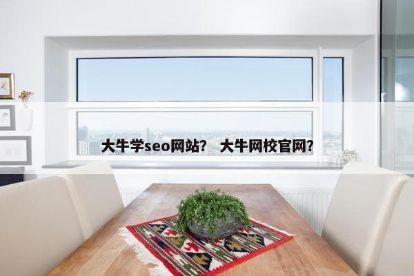 大牛学seo网站？ 大牛网校官网？