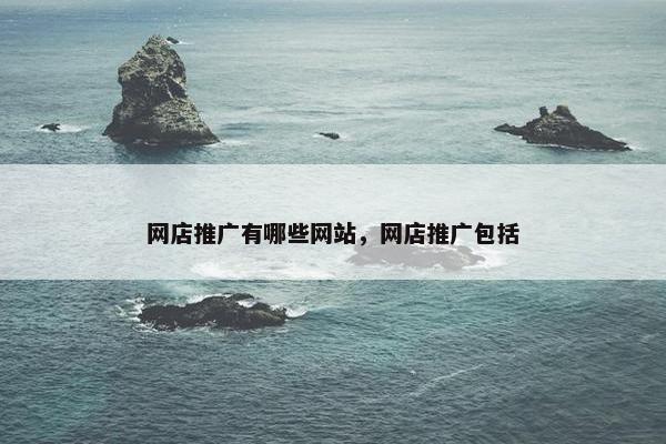 网店推广有哪些网站，网店推广包括
