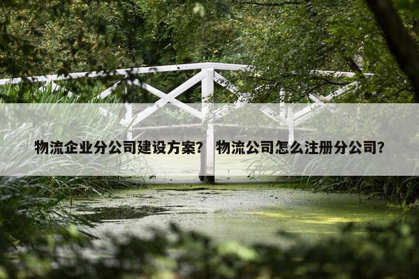 物流企业分公司建设方案？ 物流公司怎么注册分公司？
