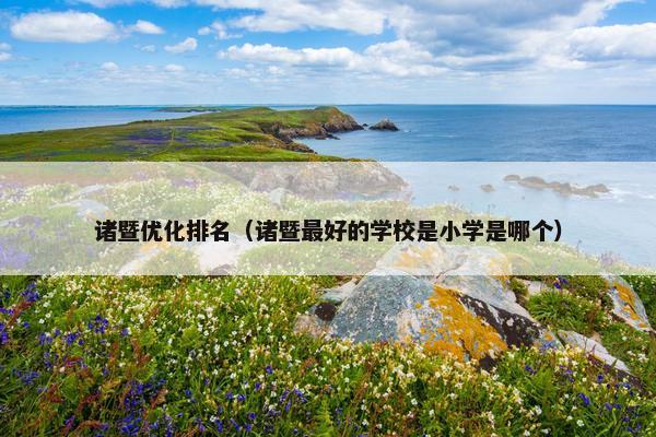 诸暨优化排名（诸暨最好的学校是小学是哪个）