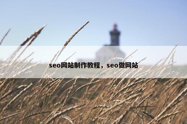 seo网站制作教程，seo做网站