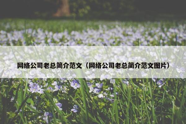 网络公司老总简介范文（网络公司老总简介范文图片）
