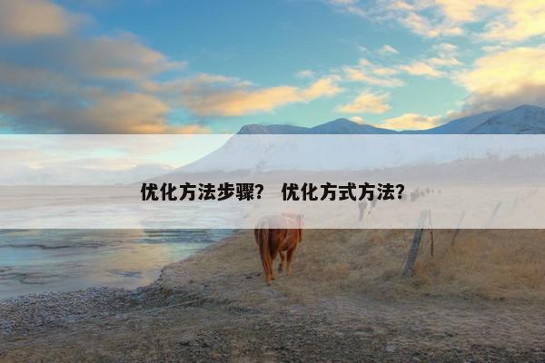 优化方法步骤？ 优化方式方法？