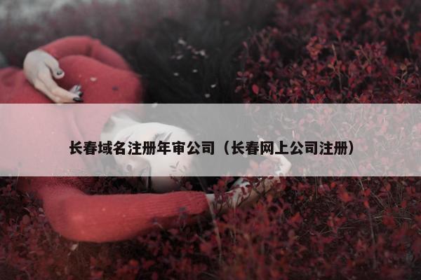 长春域名注册年审公司（长春网上公司注册）