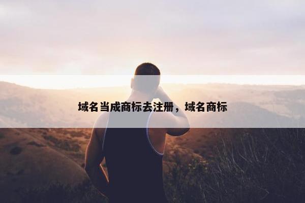 域名当成商标去注册，域名商标