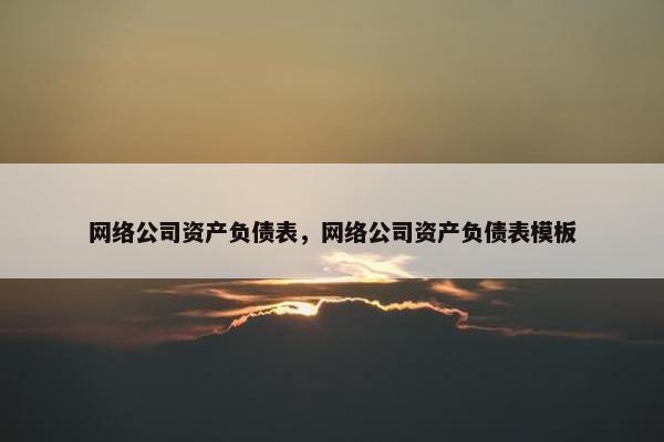 网络公司资产负债表，网络公司资产负债表模板