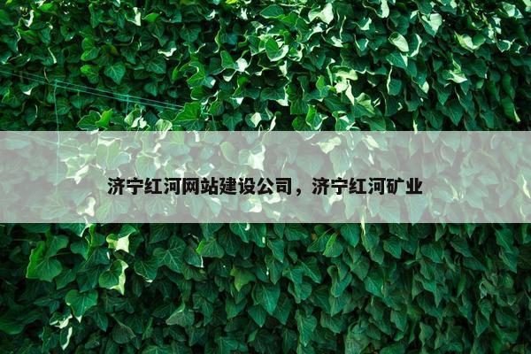 济宁红河网站建设公司，济宁红河矿业