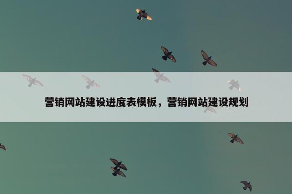 营销网站建设进度表模板，营销网站建设规划