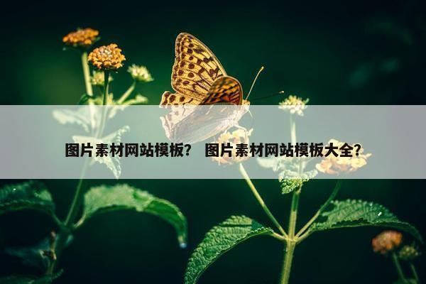 图片素材网站模板？ 图片素材网站模板大全？