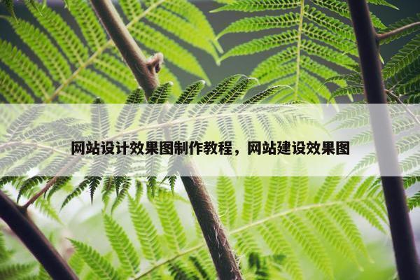 网站设计效果图制作教程，网站建设效果图