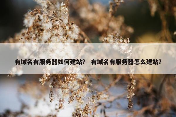 有域名有服务器如何建站？ 有域名有服务器怎么建站？