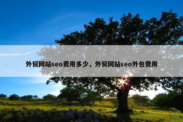 外贸网站seo费用多少，外贸网站seo外包费用